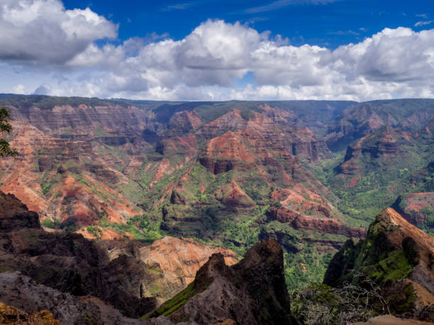 istock Waimea Canyon, Kauai 673780346