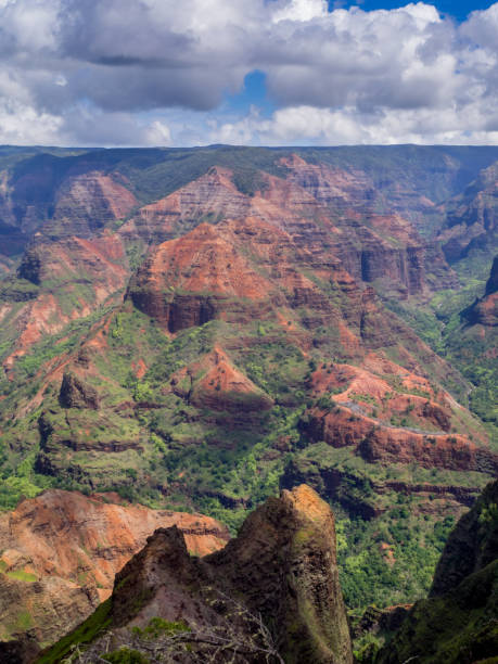istock Waimea Canyon, Kauai 673780474