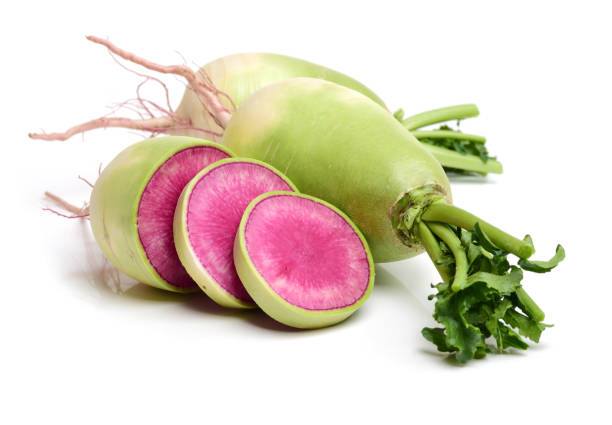 istock Party loyalty radish   on white background 673781342