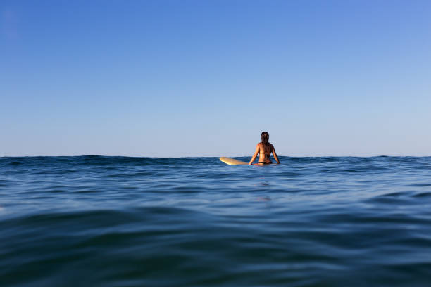 istock Waiting in the Sea 673788830