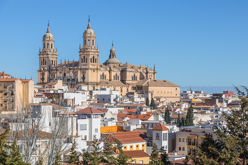 Roofs of the city and Jaen Cathedral in Jaen, Andalusia, Spain