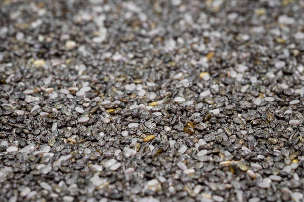 istock Chia seeds. Super food background. Selective focus. 673798774