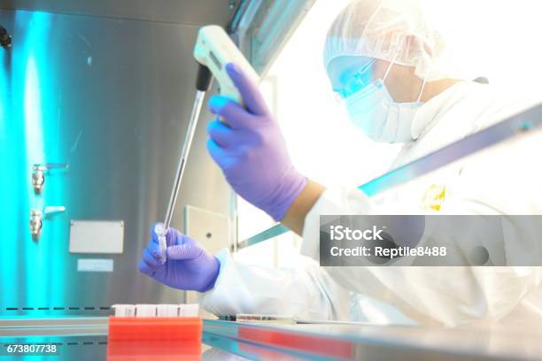 Aseptic Processing Stock Photo - Download Image Now - Pharmaceutical Factory, Aseptic Processing, Biologist