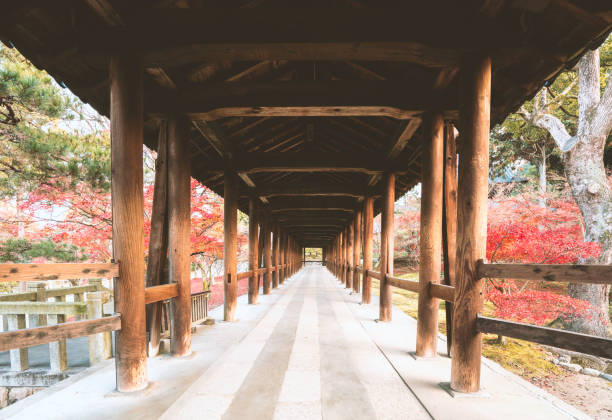 istock Tofuku-ji Temple 673815792