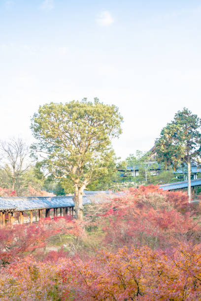 istock Tofuku-ji Temple 673818222