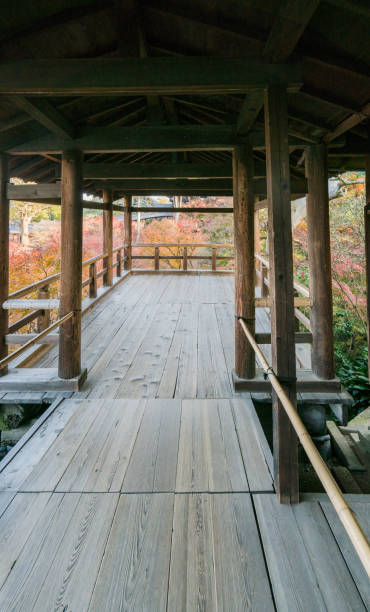 istock Tofuku-ji Temple 673819124