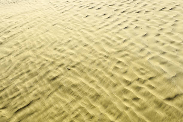 istock Khaki color. Natural texture and background of the desert. Sand patterns 673829058