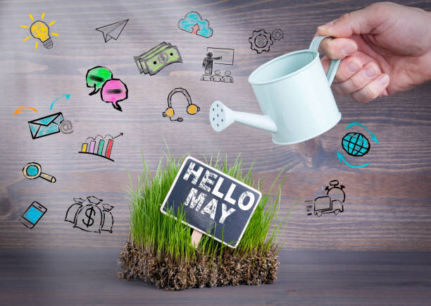 istock Hello May concept. Fresh and green grass on wood background 673829474