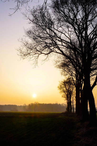 istock Misty countryside sunrise 673829872