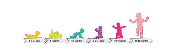 baby entwicklung inszeniert meilensteine zunächst ein jahr. kind-meilensteine des ersten jahres - weibliches baby grafiken stock-grafiken, -clipart, -cartoons und -symbole