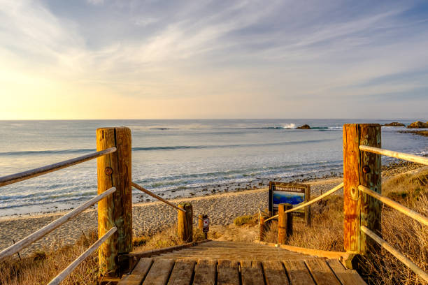 istock USA Pacific coast, Leo Carrillo State Beach, California. 673840406