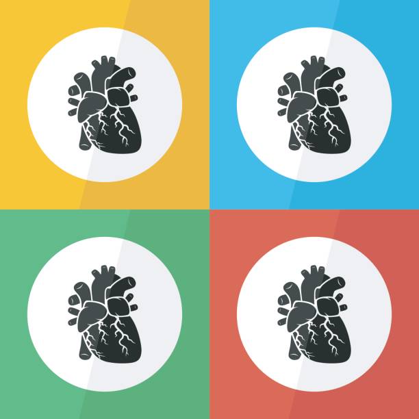 다른 색 배경 (전면 보기)에 심장 아이콘 (평면 디자인) 심장 질환 (허 혈 성 심장 질환, 심근 경색, 관상동맥 질환, 판 막 병 심장 질환, 등) 사용 - pulse trace human cardiovascular system heart shape heart disease stock illustrations