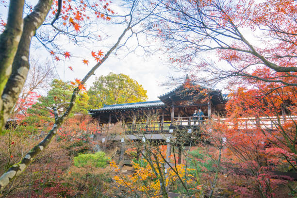 istock Couple at Tofuku-ji Temple 673851304