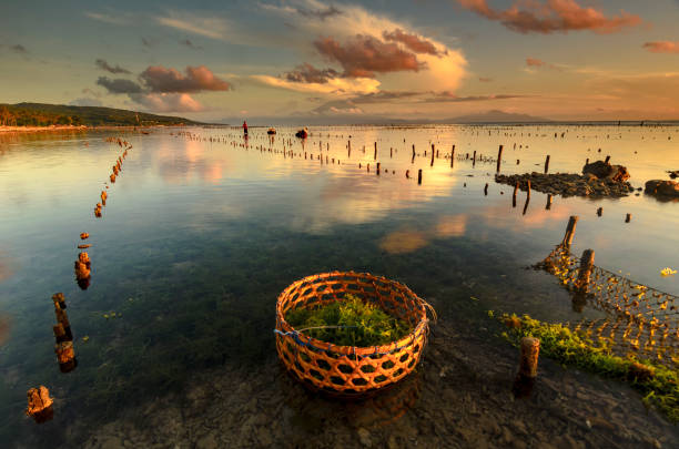 morning at seaweed farm nusa penida, bali, indonesia
