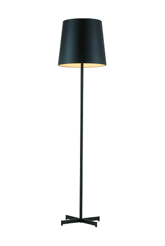 Black Tall Floor Lamp isolated on white background