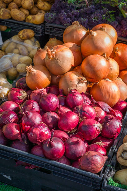istock onions in a market 673861752