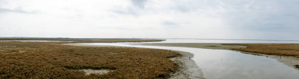 istock Landscape on delta of river Evros, Greece, panoramic view 673865088