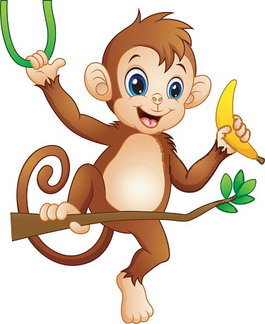 Vector illustration of Cartoon monkey on a branch tree and holding banana