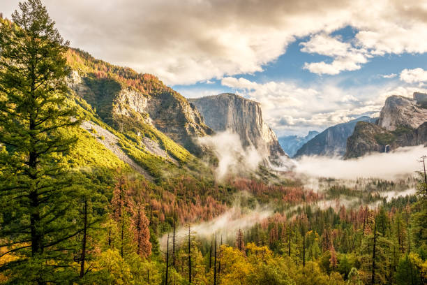 istock Yosemite Valley at cloudy autumn morning 673866356