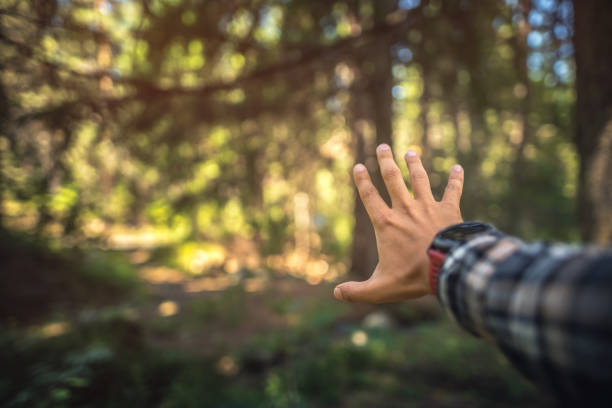 The touch of nature. Stock photo