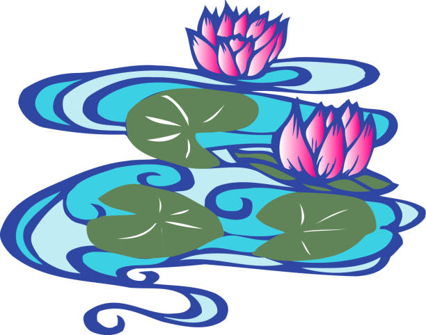 Suiren Stock Illustration - Download Image Now - Disappointment