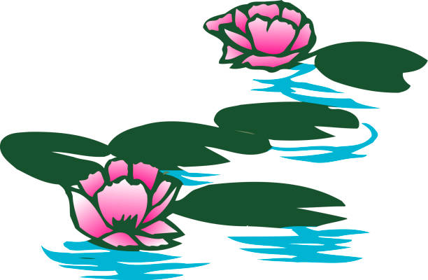 Suiren Stock Illustration - Download Image Now - Disappointment