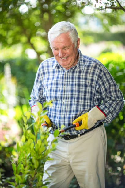 istock Senior man cutting with pruning shears in garden 673900840