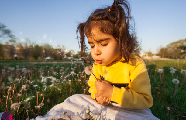 istock Little girl and dandelion 673908860