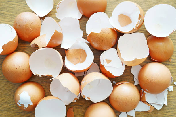 skorupa jajka na drewnianym tle - easter animal egg eggs single object zdjęcia i obrazy z banku zdjęć