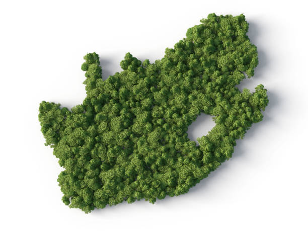 istock forest in south africa map shape 673932926