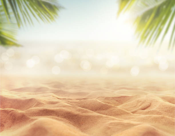 sand with blurred sea sky background, summer day Close up sand with blurred sea sky and plam leaf background, summer day, copy space or for product. sand stock pictures, royalty-free photos & images