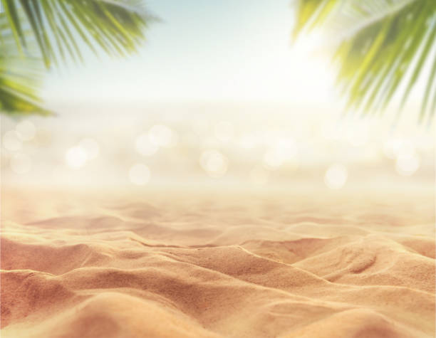 sand with blurred sea sky background, summer day Close up sand with blurred sea sky and plam leaf background, summer day, copy space or for product. beaches stock pictures, royalty-free photos & images