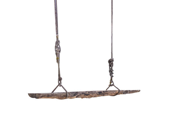 istock An old wood swing hanged on a tree Isolated on white background with clipping path. 673937174
