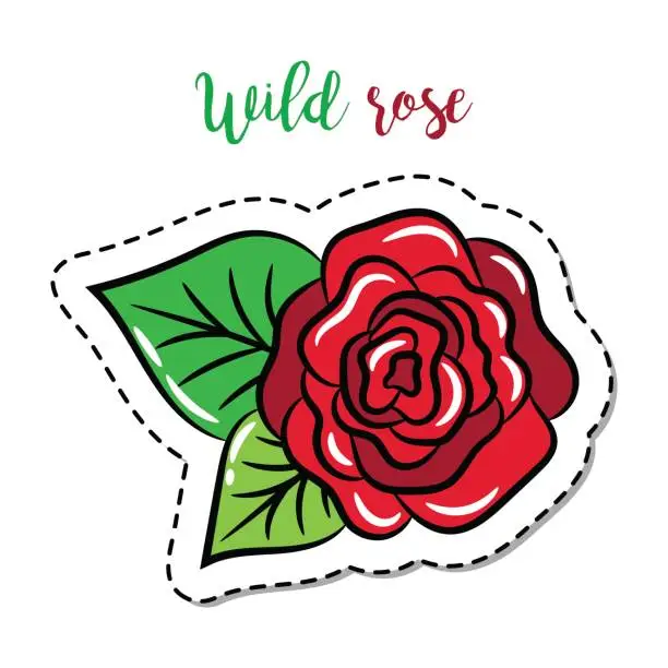 Vector illustration of Fashion patch element rose