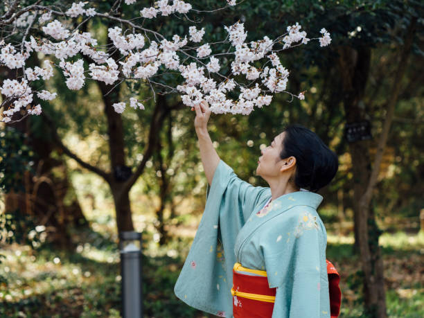 istock Japanese woman with typical yukata clothes under cherry tree 673947534