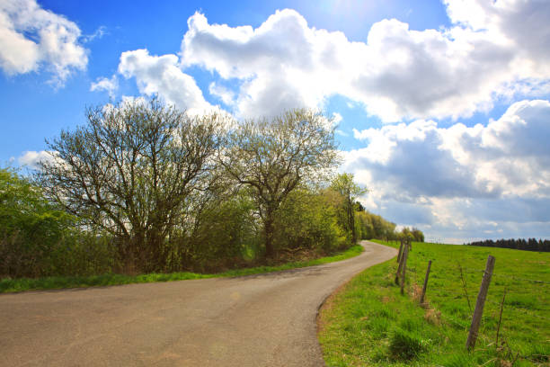 istock Spring landscape with trees and field road 673954410