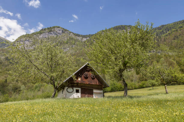 istock In the Voje - Valley 673957470