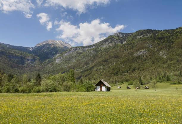 istock In the Voje - Valley 673961852