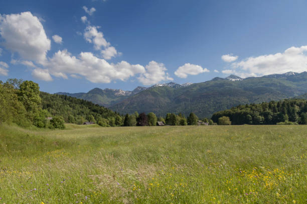 istock In the Voje - Valley 673964168