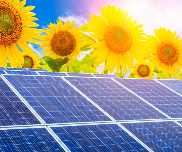 istock Solar panels and sunflowers landscape 673976342