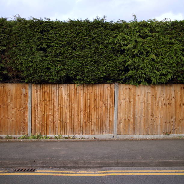 istock Wooden Fence and Trees 673976578
