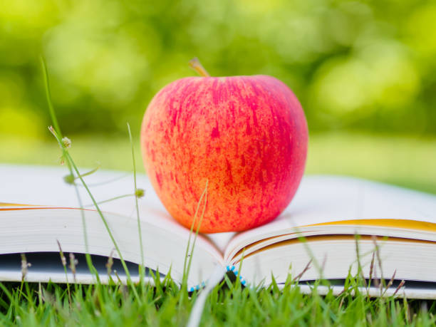 istock World Book Day concept. Red apple and pen put on open book 673990018
