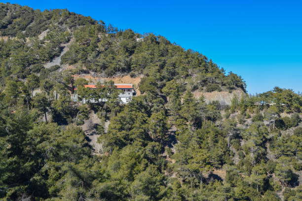 istock Troodos mountains and beautiful forest. Cyprus island 673990582