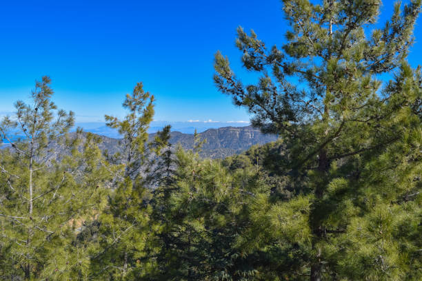 istock Troodos mountains and beautiful forest. Cyprus island 673998084