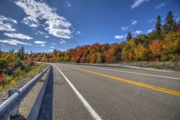 istock Small country roads 673999348