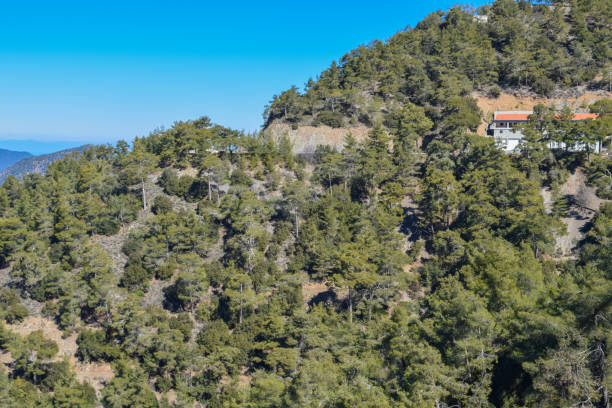 istock Troodos mountains and beautiful forest. Cyprus island 674005422