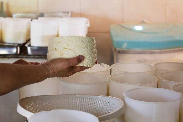 生産の女性チーズ - traditional salt farming ストックフォトと画像