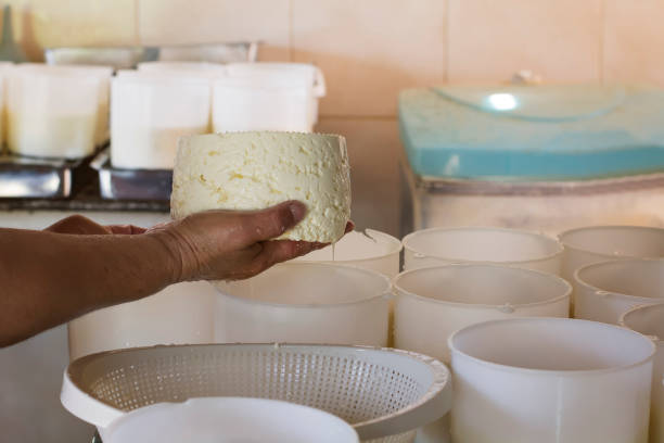 Woman producing cheese Woman producing cheese by hand. dairy producer stock pictures, royalty-free photos & images