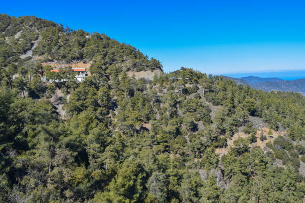 istock Troodos mountains and beautiful forest. Cyprus island 674023124