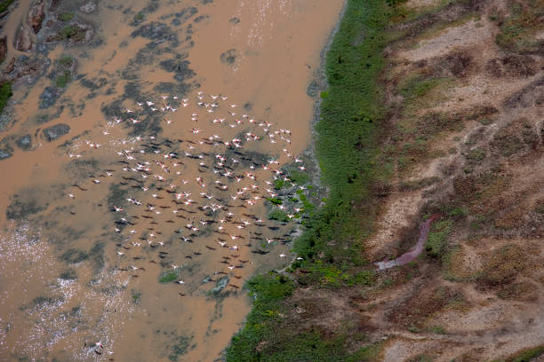 istock Kenya from the air 674023166
